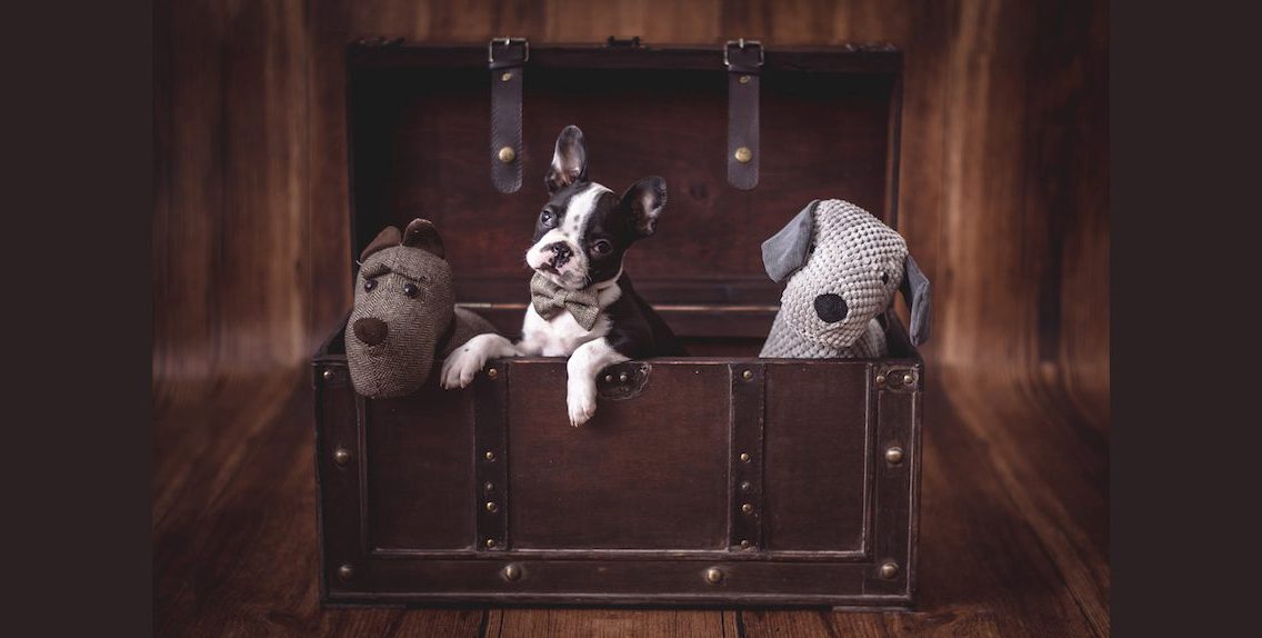 sesion fotos madrid. Slider 8